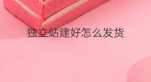独立站建好怎么发货 shopify建好站做什么