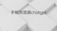 手机浏览器chatgpt怎么汉化 chatgpt浏览器推荐