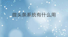 微头条系统有什么用 头条微课有什么用