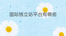 国际独立站平台有哪些 国际独立站有哪些