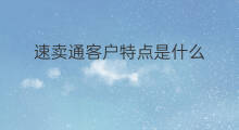 速卖通客户特点是什么 速卖通营销方式特点是什么