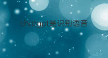chatgpt是识别语音还是文字(chatgpt是文字聊天还是语音聊天)