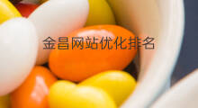 金昌网站优化排名 金昌seo优化费用