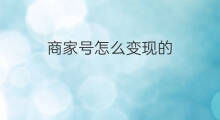 商家号怎么变现的 商家号如何快速起号变现