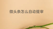 微头条怎么自动提审 微头条自动收益在哪里