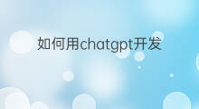 如何用chatgpt开发网页程序 如何开发网店引流