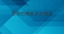 苏青的蛾收录在哪里 张爱玲的牛收录在哪里