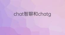 chat智聊和chatgpt的区别(chatgpt跟chat币有区别吗)