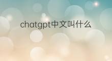 chatgpt中文叫什么名字(ChatGPT中文叫什么名字)