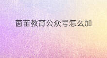 茵苗教育公众号怎么加 加公众号怎么加