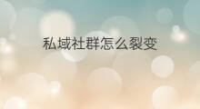 私域社群怎么裂变 私域怎么裂变