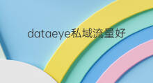 dataeye私域流量好吗 私域流量最好吗