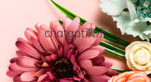 chatgpt演示 chatgpt软件演示