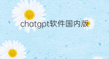chatgpt软件国内版(国内chatgpt软件)