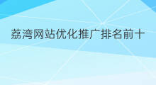 荔湾网站优化推广排名前十 荔湾网站优化推广排名公司