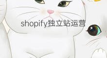 shopify独立站运营的核心是什么 shopify运营的核心是什么