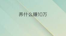 养什么赚10万 在养羊行业如何年赚10万