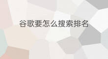 谷歌要怎么搜索排名 谷歌搜索排名技巧