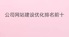 公司网站建设优化排名前十 商城网站建设优化排名前十