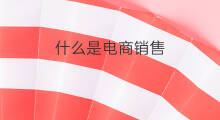 什么是电商销售 什么是跨境电商销售