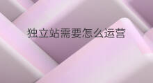 独立站需要怎么运营 独立站需要运营吗