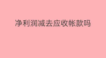 净利润减去应收帐款吗 扣非净利润包括应收吗