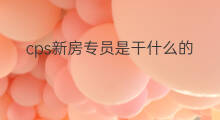 cps新房专员是干什么的 跨境电商选品专员干什么的