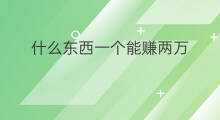 什么东西一个能赚两万 有什么东西可以一年赚两万
