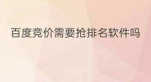 百度竞价需要抢排名软件吗 百度竞价怎么抢排名
