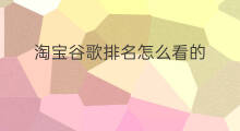 淘宝谷歌排名怎么看的 怎么看谷歌排名的效果