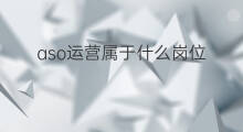 aso运营属于什么岗位 跨境电商运营属于什么岗位