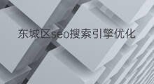 东城区seo搜索引擎优化 北京东城区有什么大学