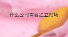 什么公司需要独立站场 什么公司需要独立站