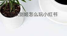 无双剑姬怎么玩小红书 逆战怎么玩小红书