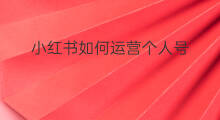 小红书如何运营个人号 如何运营小红书