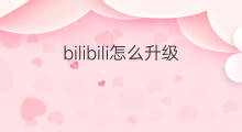 bilibili怎么升级 bilibili怎