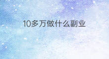 10多万做什么副业 负债10万做什么副业赚钱