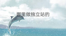 哪里做独立站的 做独立站的条件