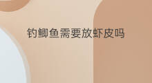 钓鲫鱼需要放虾皮吗 虾皮可钓什么