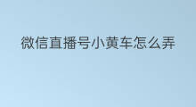 微信直播号小黄车怎么弄 微信直播小黄车怎么弄的啊