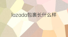 lazada包裹长什么样 ChatGPT长什么样