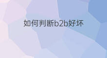 如何判断b2b好坏 怎样判断b2b好坏