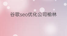 谷歌seo优化公司榆林 榆林seo网络优化