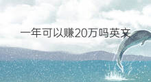 一年可以赚20万吗英文 一年如何赚20万啊英文