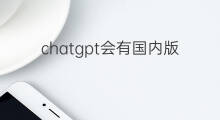 chatgpt会有国内版本吗 chatgpt国内版本