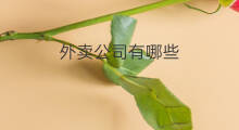 外卖公司有哪些 外卖公司有哪几家