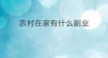 农村在家有什么副业 在家有什么创业项目