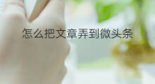 怎么把文章弄到微头条 如何把文章改成微头条