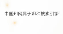 中国知网属于哪种搜索引擎 中国有搜索引擎技术吗知乎