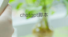 chatgpt脚本 chatgpt能写脚本吗